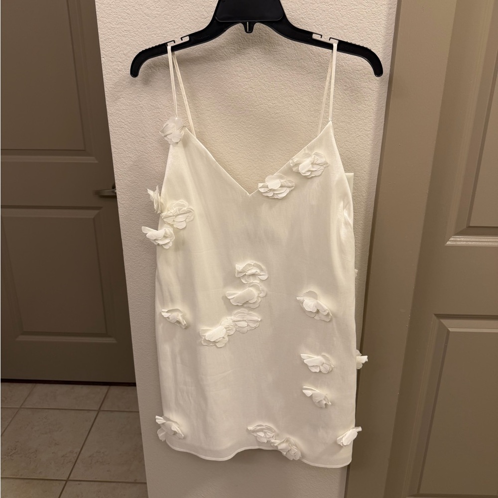 Abercrombie and Fitch Appliqué Floral Mini Dress